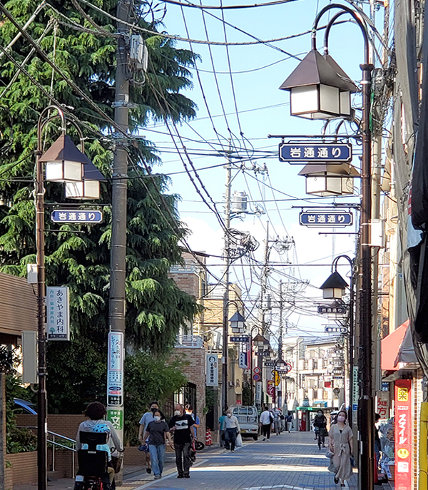 商店街の街灯に「岩通通り」の表示がある