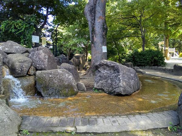 区立井荻公園。水が岩の階段から池に流れている