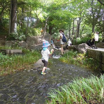 区立蚕糸の森公園。さまざまな遊びが楽しめる