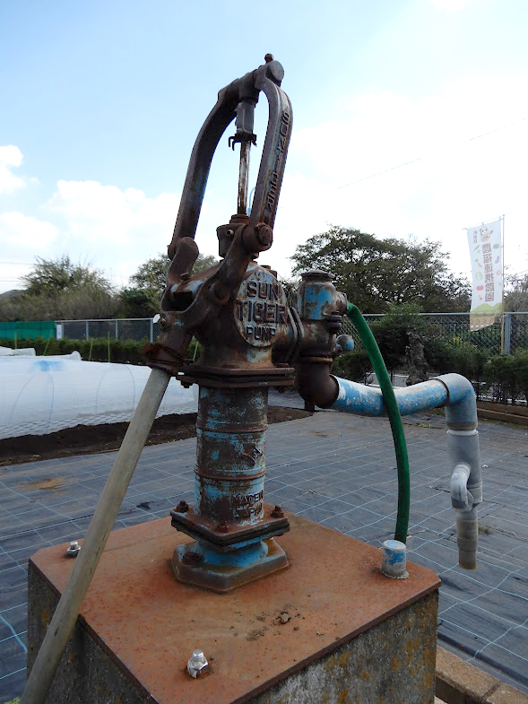 園内には、昔ながらの手押しポンプ式井戸も設置されている（飲用不可）