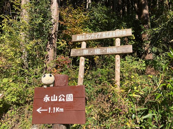 「手入れされた林の地面には、緑が生い茂るんだよ～」