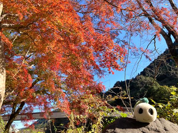 秋には鮮やかな紅葉が見られる御岳渓谷遊歩道