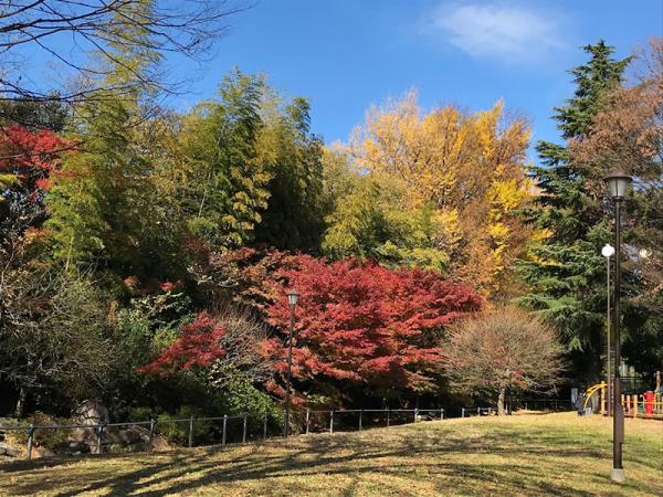 秋の紅葉も楽しめる