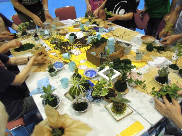 苔玉づくりでは講師が用意した材料が少なくなり、参加者らが野草探しも行った