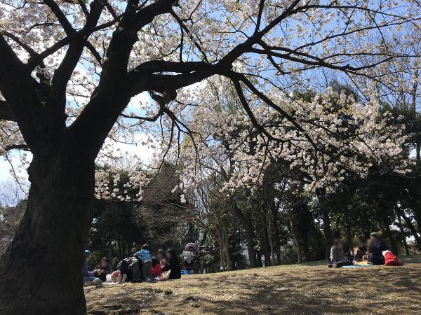 （撮影：2020年３月24日）