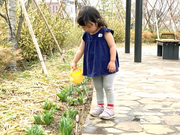 じょうろで植物に水をあげる、かわいい「お水あげ隊」