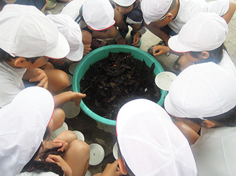 どれくらい取れたかな？