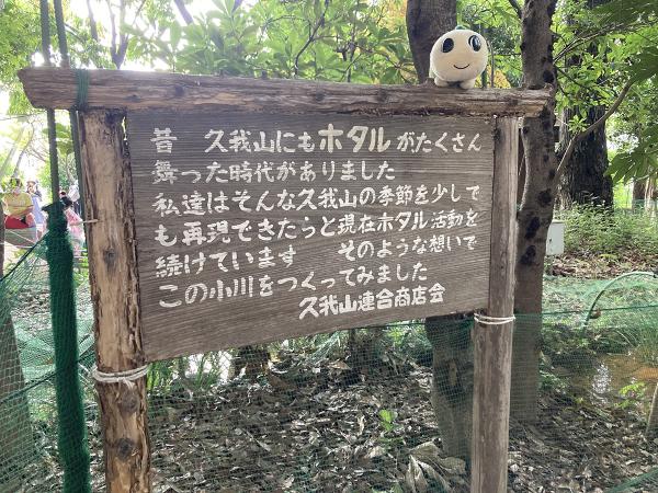 宮下橋公園の一角に、ホタルが好む自然に近い環境を整えている