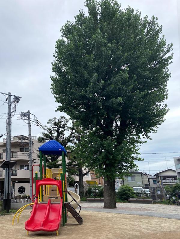 地上部の遊具