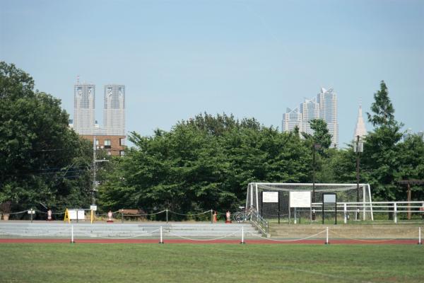 晴れた日は新宿の高層ビルが望める