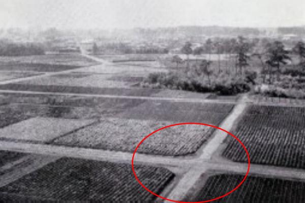 区画整理直後の第三工区（現善福寺3-26付近）。人も車もあまり通らない畑の中の道路も隅切りされている（写真提供：野田栄一さん）（写真（出典：『記念誌　紀元二千六百』）を加工）