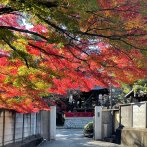 龍光寺