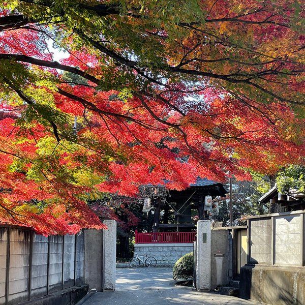 龍光寺