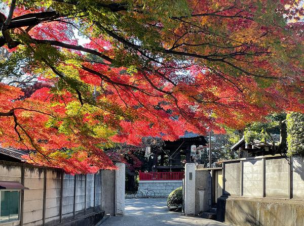 龍光寺