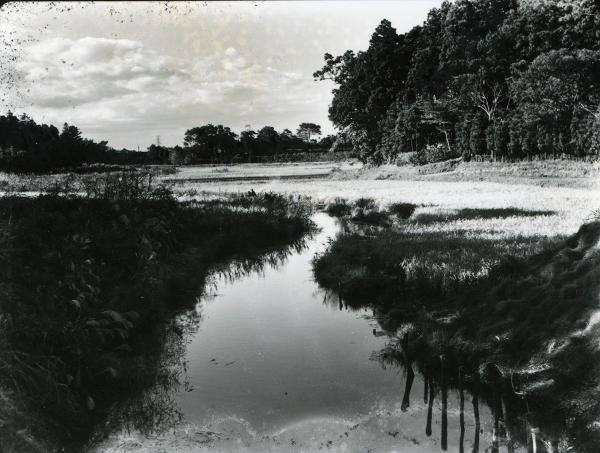 1934（昭和９）年、善福寺川ほとりの風景（所蔵：杉並区立郷土博物館　〇）