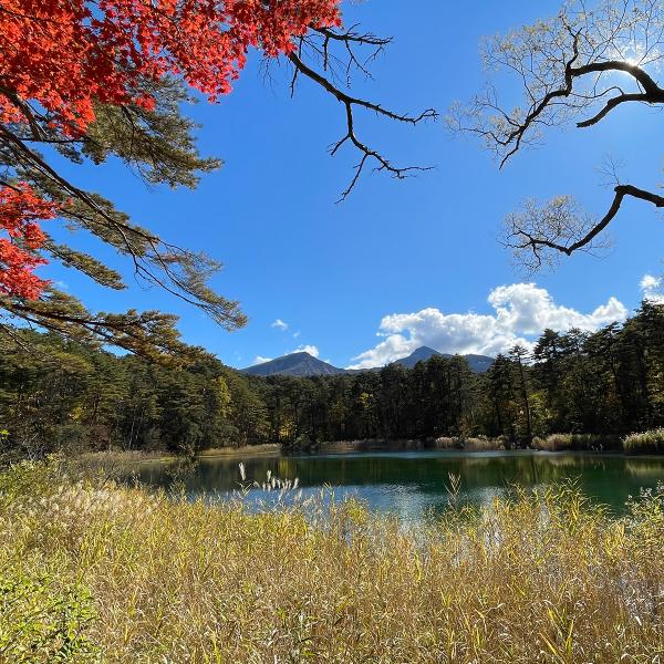 五色沼エリアの探勝路から見える紅葉と磐梯山