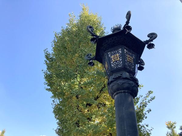 見上げるほど高い旧参道入り口に立つ灯籠