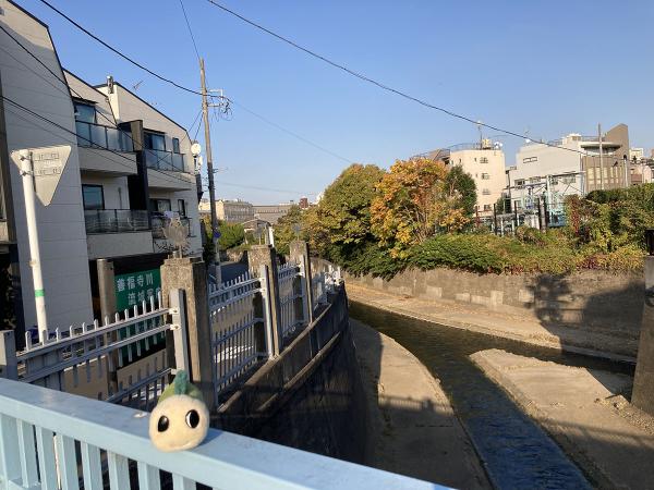 神田川・善福寺川合流点