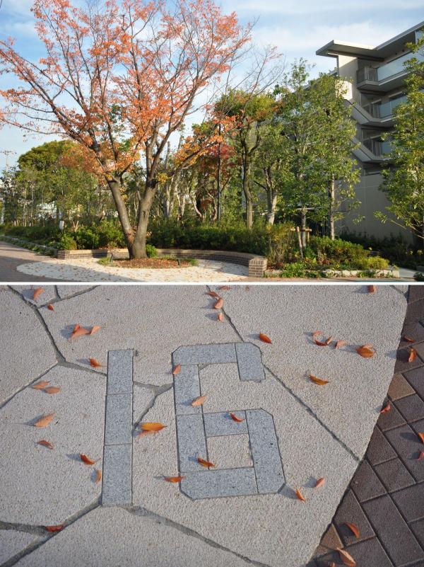 上：阿佐ヶ谷住宅の桜を移植した広場<br>下：そこに敷設された住棟番号（写真提供：設計組織プレイスメディア吉澤眞太郎氏）
