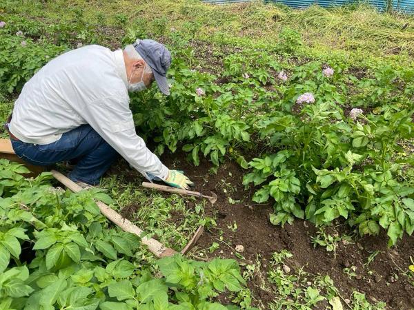 「五日市すぎなみ村」の畑。最初は４人で立ち上げた活動は大きく広がって今も続いている