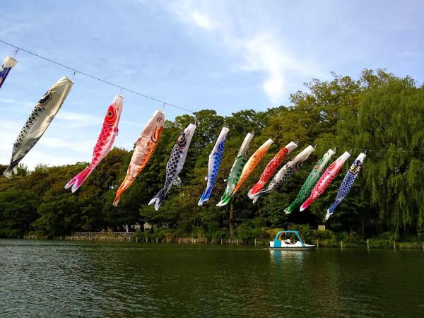 例年、ゴールデンウィーク頃には、池の上にこいのぼりがあがる