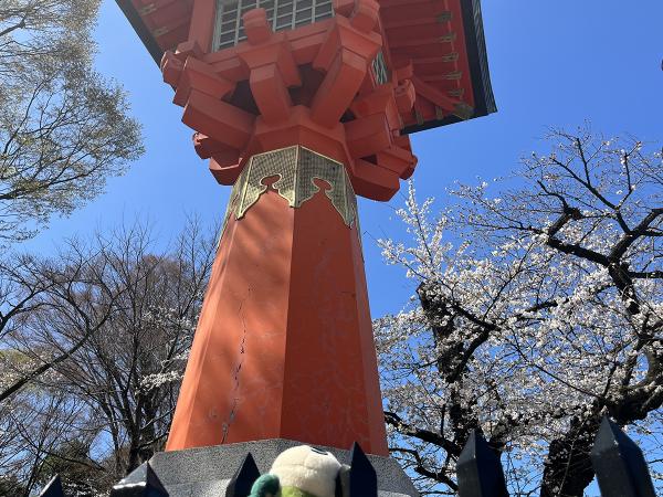 見上げるほど大きな大灯篭（だいとうろう）と桜