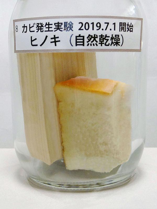 パンと木片をビンに密閉し、抗菌作用を調査（写真提供：神﨑建設株式会社）