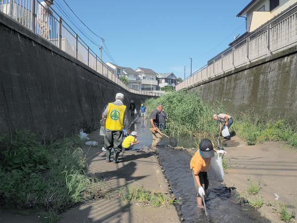 2023年のイベントでは、善福寺川の上流に初めて入って清掃した