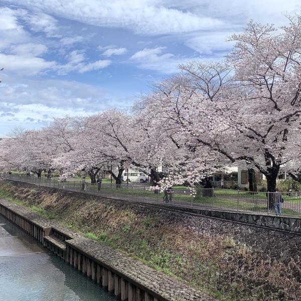 相生橋付近（撮影：2023年３月24日）