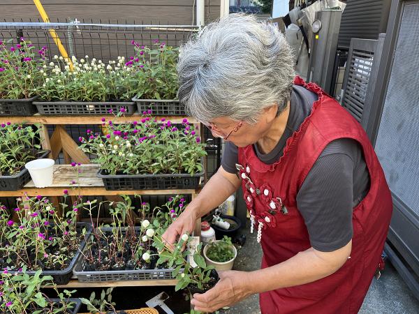 自宅には、山田さんが育てている千日紅の鉢が並ぶ