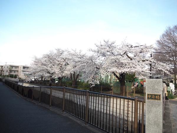 和泉二丁目公園前（撮影：2024年４月７日）