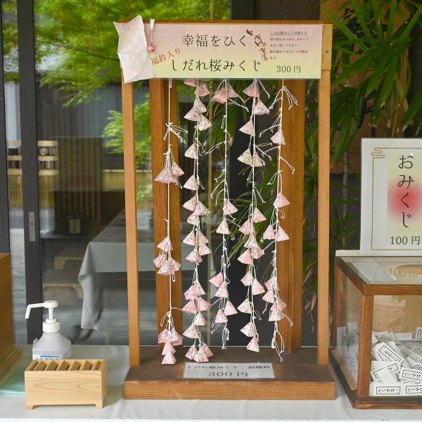 ひもに付いたおみくじを引いて取る「しだれ桜みくじ」。かわいい福鈴入り