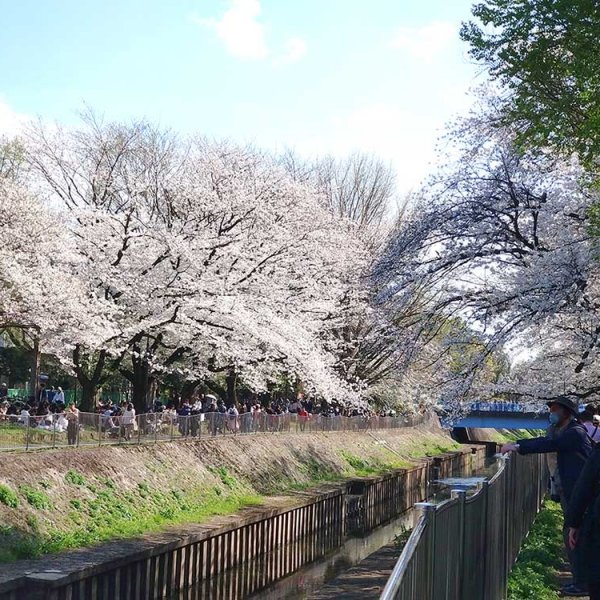 東京都立善福寺川緑地