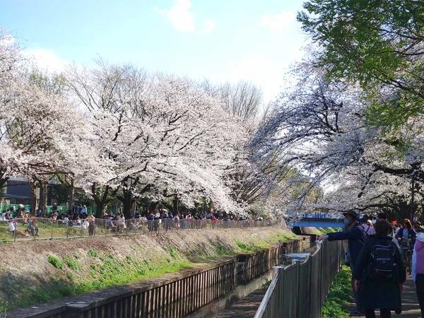 天王橋付近（撮影：2024年４月７日）