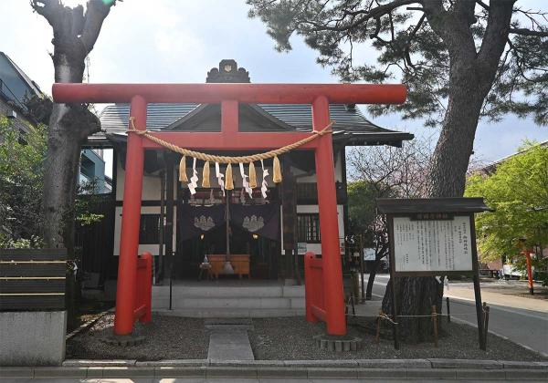 赤い鳥居と大きなアイグロマツが目を引く