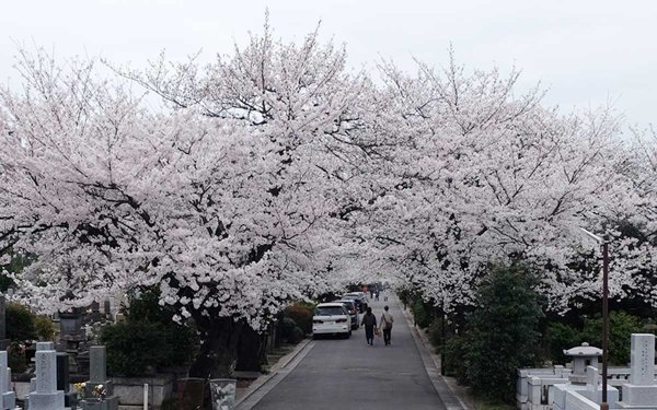 築地本願寺 和田堀廟所