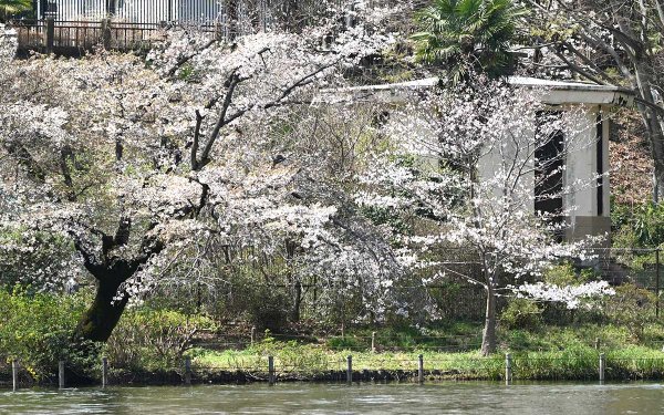 東京都立善福寺公園