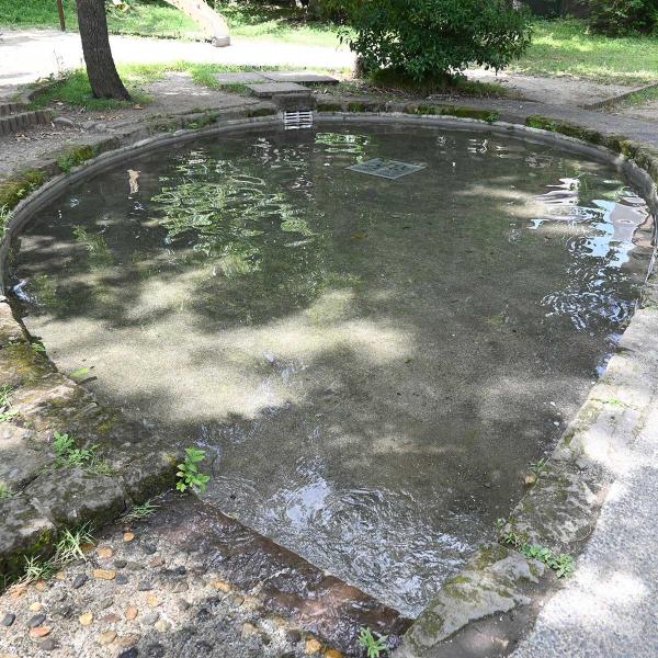 小さなじゃぶじゃぶ池。水面に木々が映り、童話に出てくる泉のよう