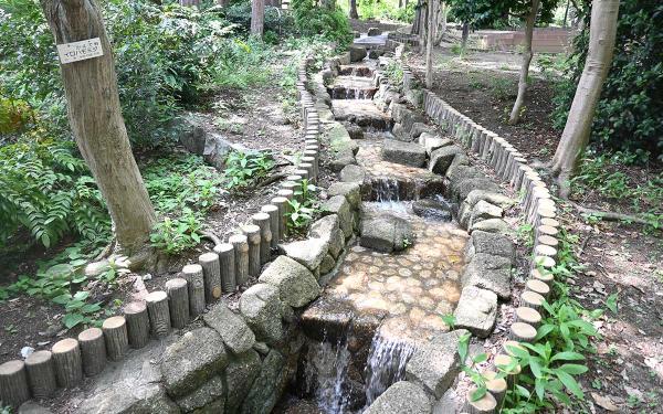 斜面に沿って、ワイルドな雰囲気の流れが続く切通し公園