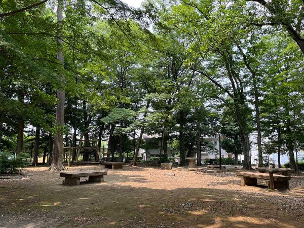 公園名のとおり森のような風景。奥には、登れる木製のやぐらもある