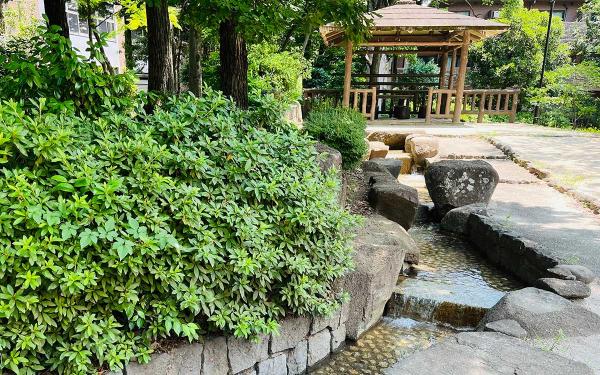 公園内の遊歩道に沿うように流れが続く昭栄公園