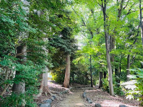 北側の入り口から続く遊歩道は、木々に囲まれた穏やかな空間