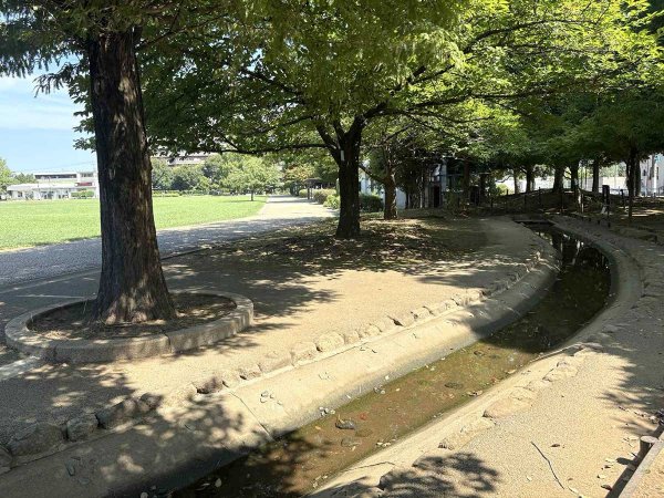 水遊びができるせせらぎ（撮影：2025年08月21日）