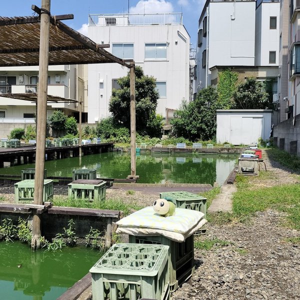 「ヒデキと同じ場所に座ってみたよ！」