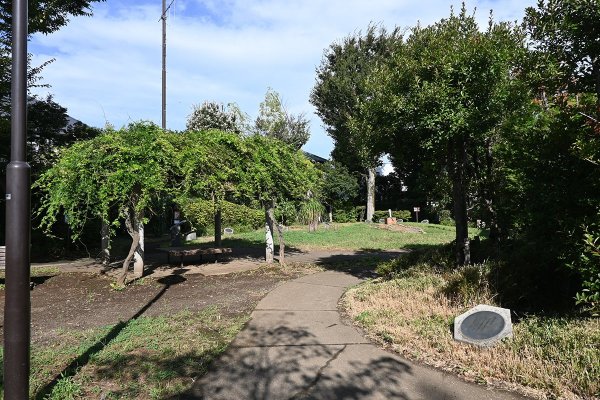住居跡へとつながる通路