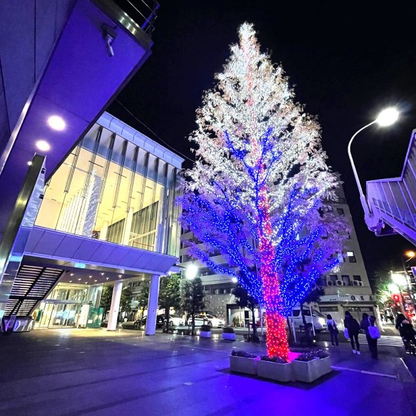 杉並公会堂クリスマスツリー（撮影：2021年）