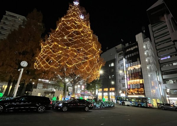 阿佐谷イルミネーション（撮影：2025年）