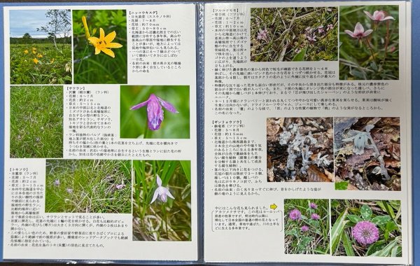 全行程から温泉宿の献立まで。１泊の思い出が1冊に（資料提供：杉並野草の会）