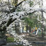 （撮影：2026年３月29日）