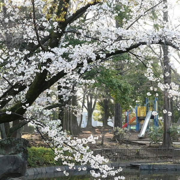 （撮影：2026年３月29日）